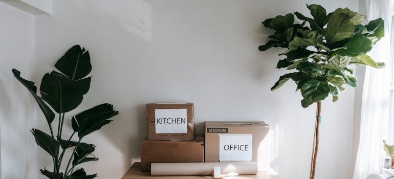 Moving boxes labeled "Kitchen" and "Office" sit on a table beside lush potted plants in a bright, minimalistic room.