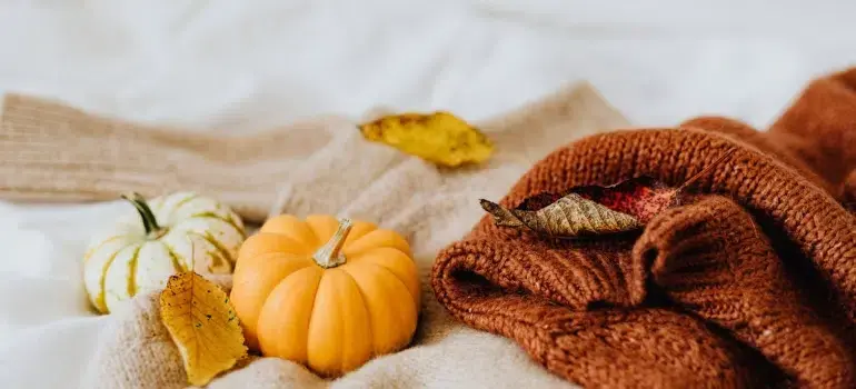Best getaways in Ohio for every season 4 Cozy fall scene featuring a soft sweater, orange and white pumpkins