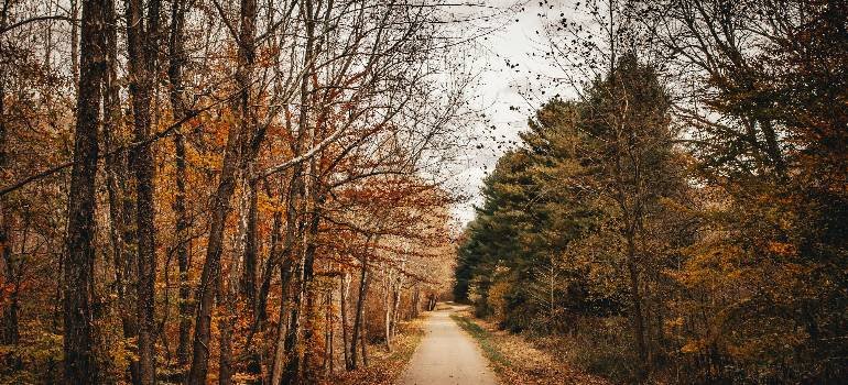 Walking trail near Hamilton and West Chester homes