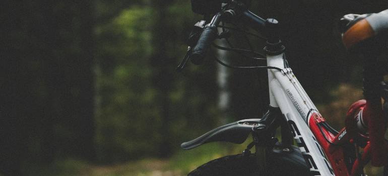 The best places in Ohio for outdoor enthusiasts 2 Mountain bike on trail in places in Ohio for outdoor enthusiasts