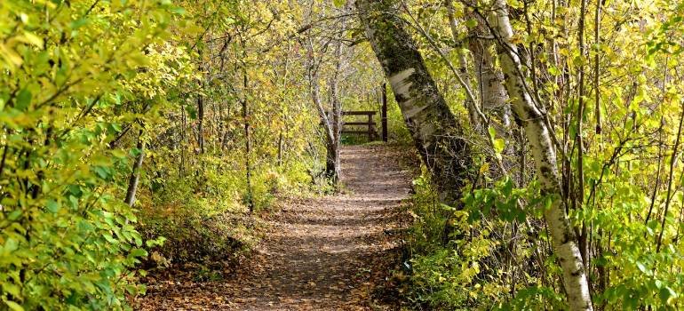 7 interesting facts about Maineville Ohio 2 Quiet path where you can think about interesting facts about Maineville Ohio