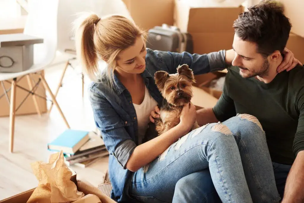 Caring for Your Pets During the Stress of Moving 2 Having a break from moving house with pet