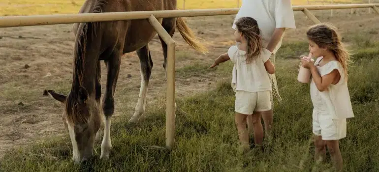 Best getaways in Ohio for every season 3 an idyllic scene with children and a horse