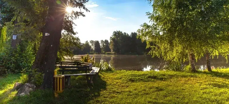 Wooden benches under trees beside a small lake in Blue Ash, Ohio, on a sunny day.