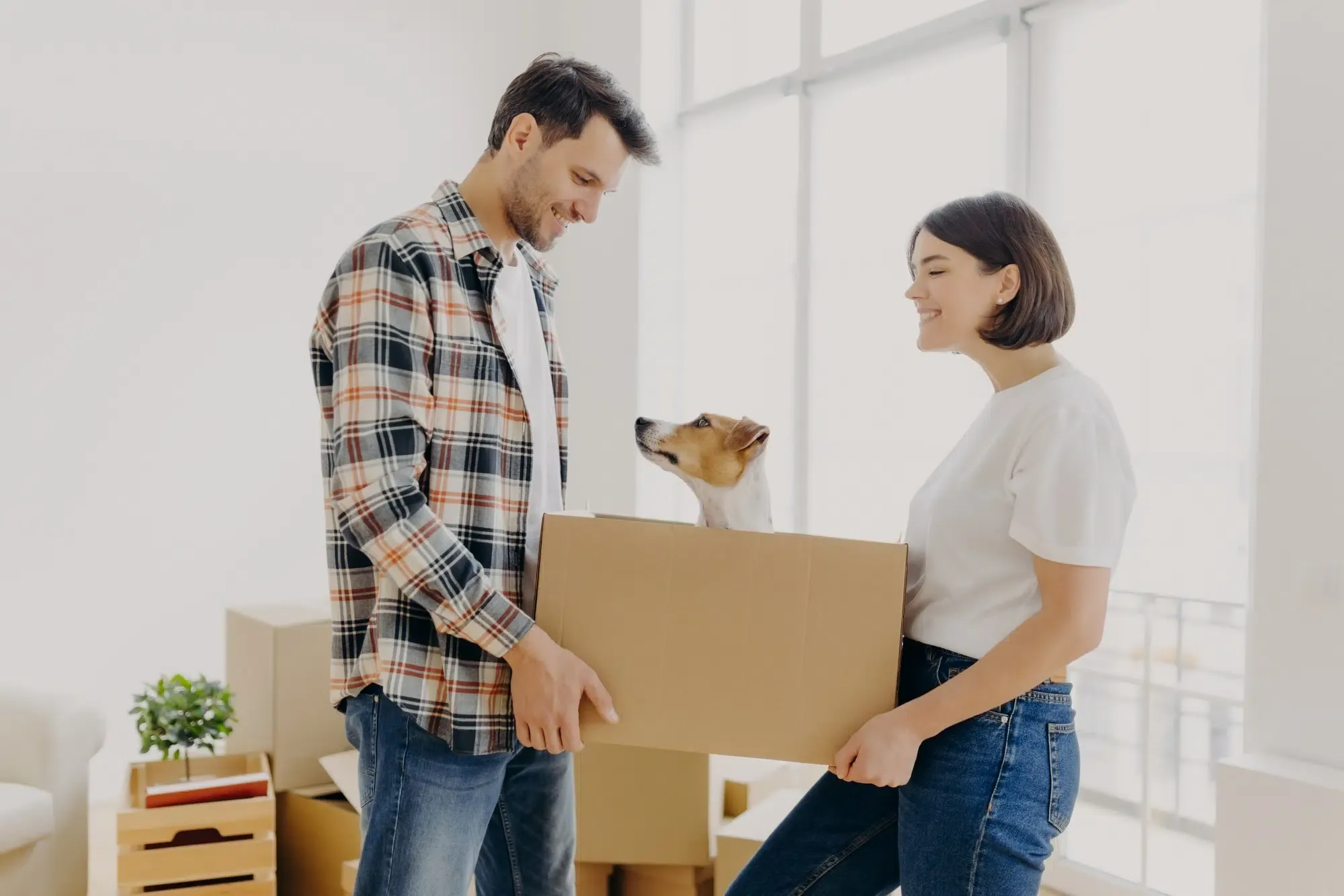 Satisfied lovely family couple carry carton box with their domestic pet