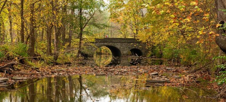Essential guide for moving to Sharonville OH 5 Autumn creek bridge in Sharonville park setting