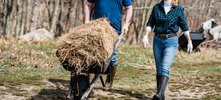 Is Goshen OH a good place for hobby farms? 1 people doing hay work and asking themselves is Goshen OH a good place for hobby farms