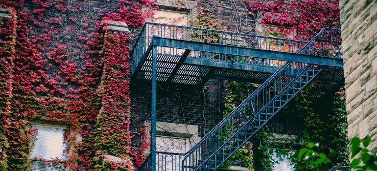 Moving into a West Chester HOA neighborhood: Rules to check before move day 1 a beautiful building exterior with pink flowers on walls
